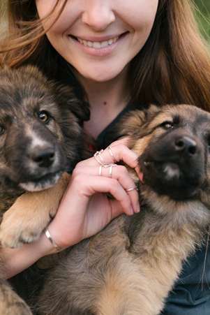 Playing with dogs only for a few minutes can help relive stress.  