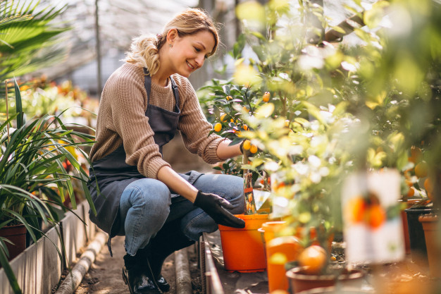 A woman is doing gardening 